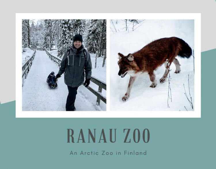 The Ranua Wildlife Park is located just outside Rovaniemi, Finland in the Lapland region. It is the only arctic zoo in the world and delight for visitors.