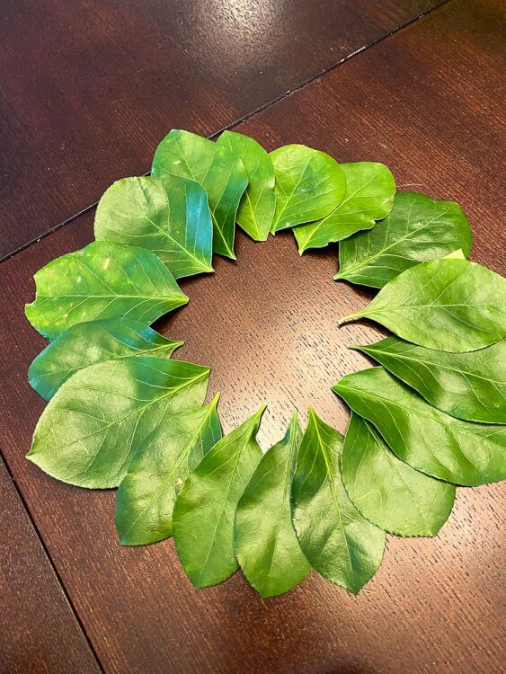 A crown of leaves.