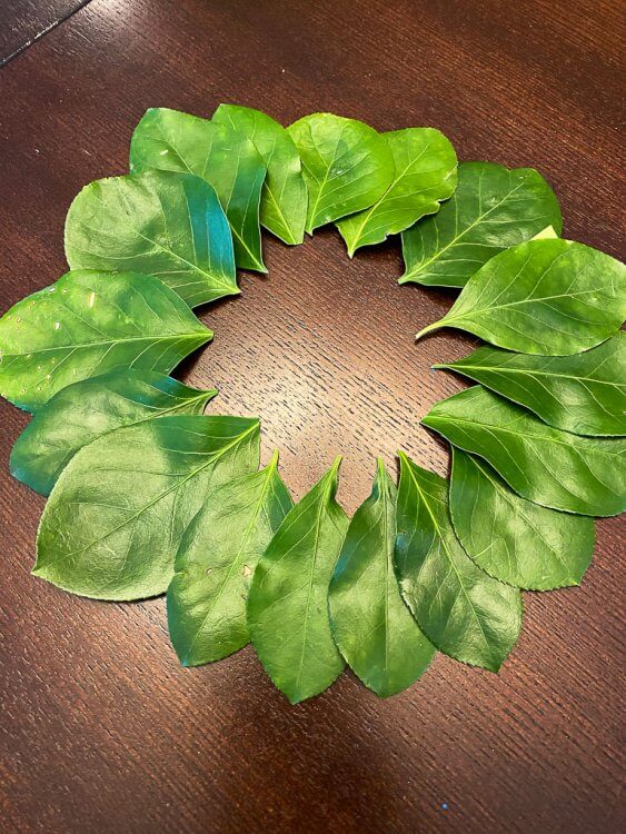 Greek wreath made out of leaves and construction paper