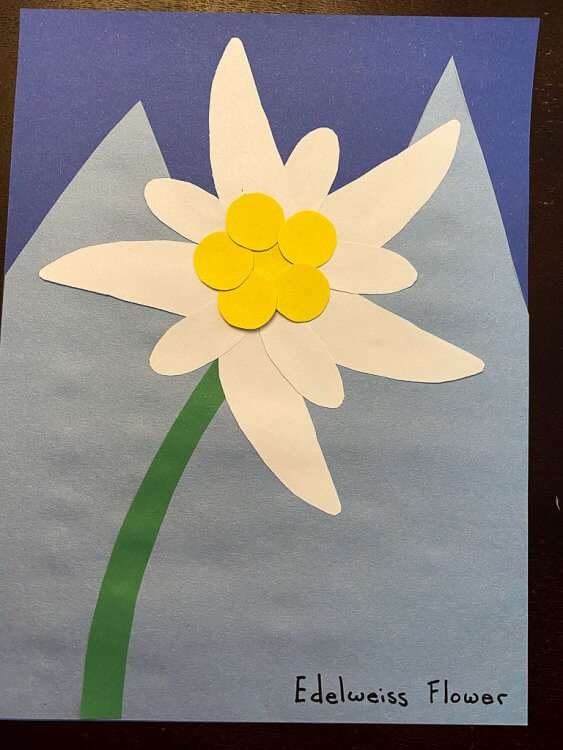 Completed Edelweiss Flower craft.